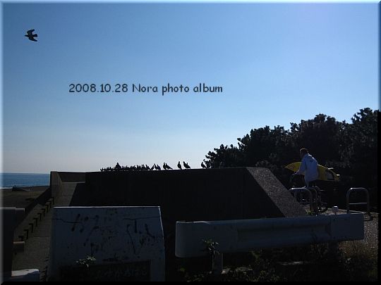 2008.10.28平塚の海 (1).JPG