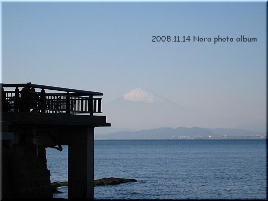 2008.11.14江ノ島 (2).JPG