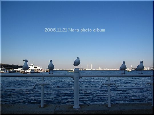 2008.11.21みなとみらい (13).JPG