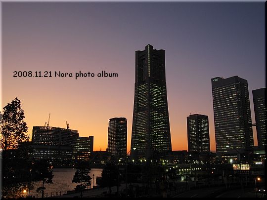 2008.11.21みなとみらい (27).JPG