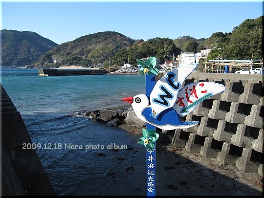 2009.12.18今井浜 (1).JPG